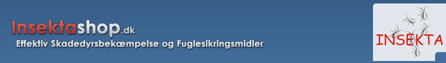 Velkommen til Insektashop